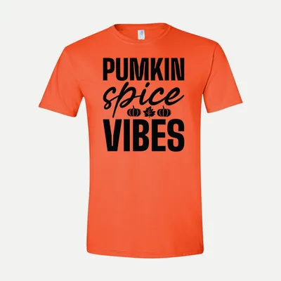 Pumpkin spice vibes shirt in Orange