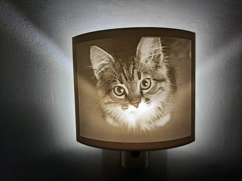 Kitten photo lithophane night light glowing on a wall