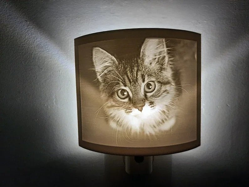 Custom kitten photo lithophane night light glowing on a wall