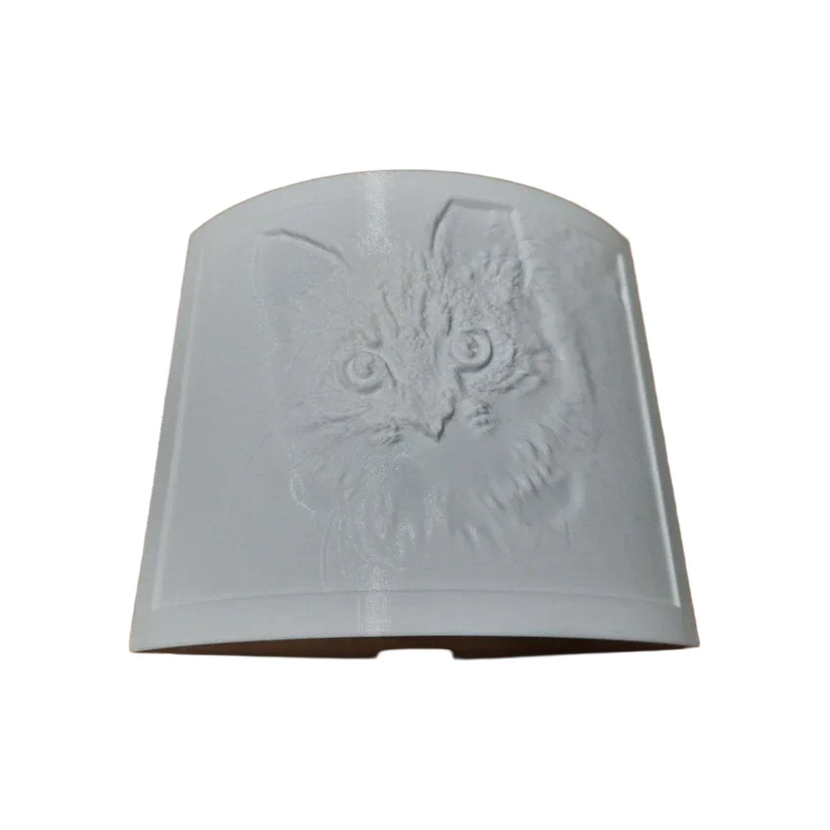 Lithophane panel unlit showing the 3D relief of the photo