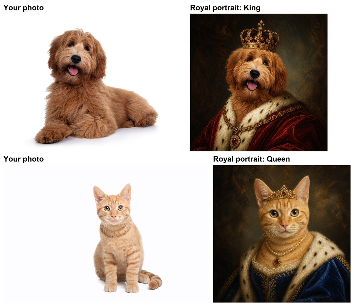 Before and after: pet photos turned into royal king and queen portraits