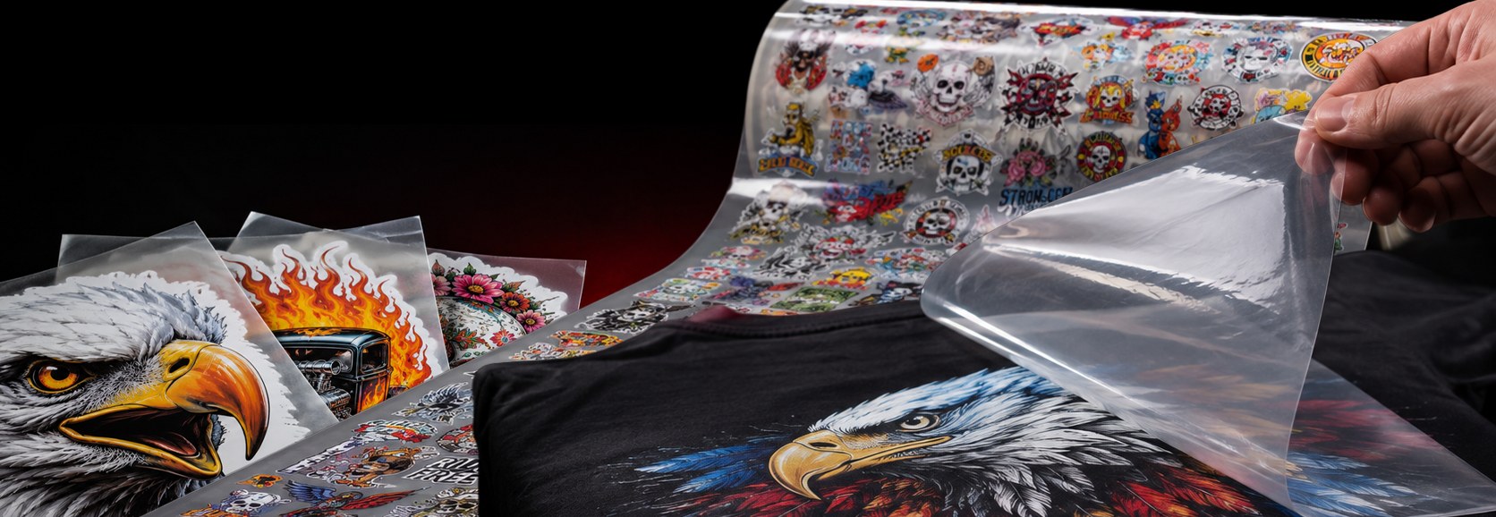 DTF transfer sheets and gang sheet roll with a transfer peeling on a black shirt