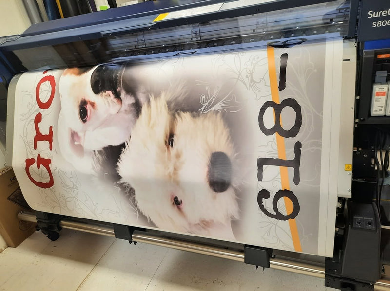 Pet portrait printing on the wide-format printer