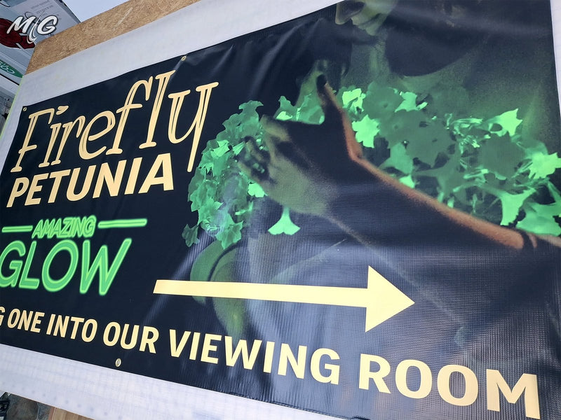 Firefly Petunia glow viewing room sign